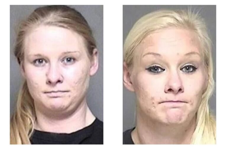 Woman Sentenced to Four Years After Deadly Amish Buggy Crash That Killed Two Children