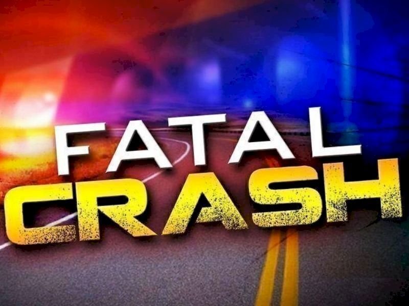 One Dead After Deer Struck on Indiana Highway 67 Causes Fatal Crash Near Paragon