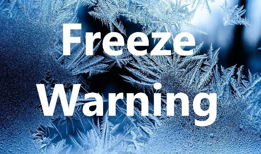 Freeze Warning in Effect for Pittsburgh Region, Ohio Valley, and West Virginia Mountains Tonight