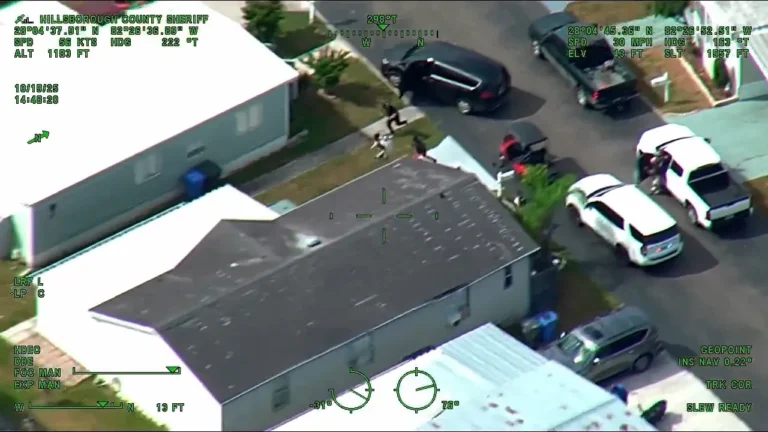 Florida Deputies Catch Teens Accused of Stealing Golf Cart and Trying to Flee