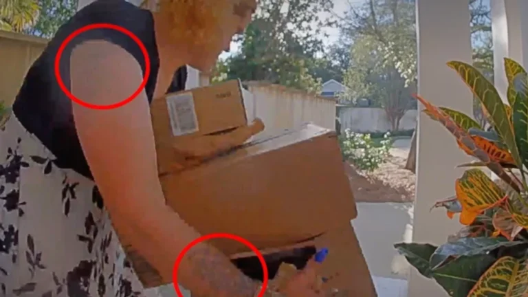 Alabama “Porch Pirate” Caught Red-Handed With Stolen Packages in Mobile County