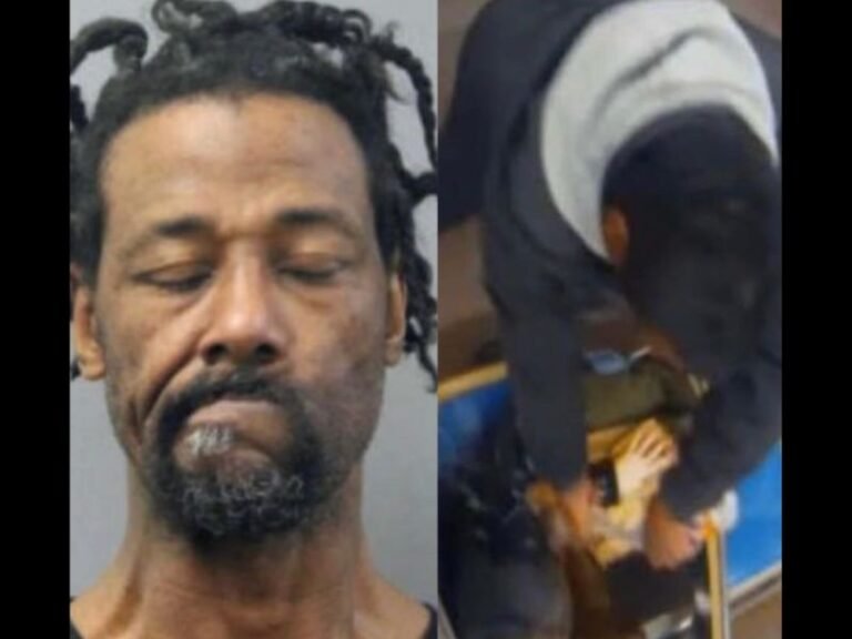 Chicago Man with 49 Prior Arrests Accused of Setting 26-Year-Old Woman on Fire on CTA Train