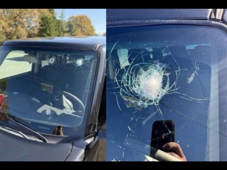 Clemson Driver Fired Upon With Automatic Weapon After Honking at Another Motorist on US 76, Police Say