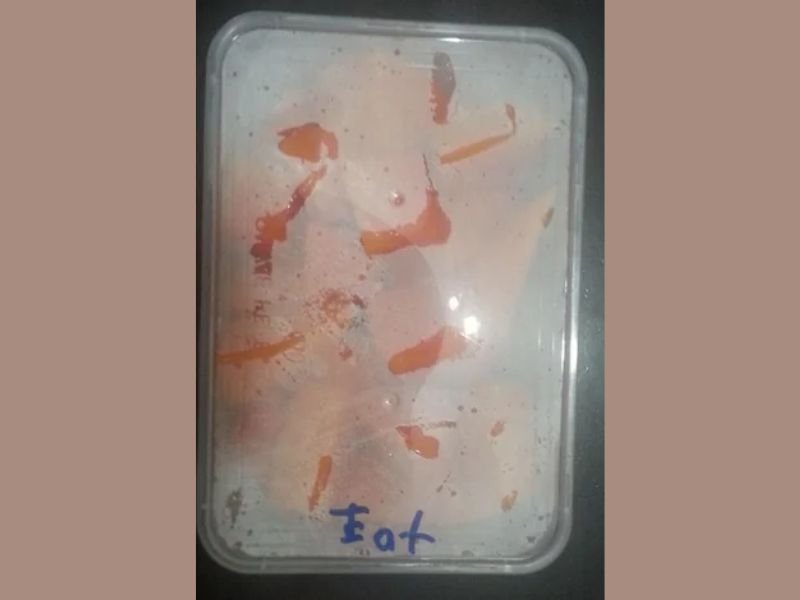 Dad Labels Food Container “Eat” — and the Internet Agrees He Might Have a Point