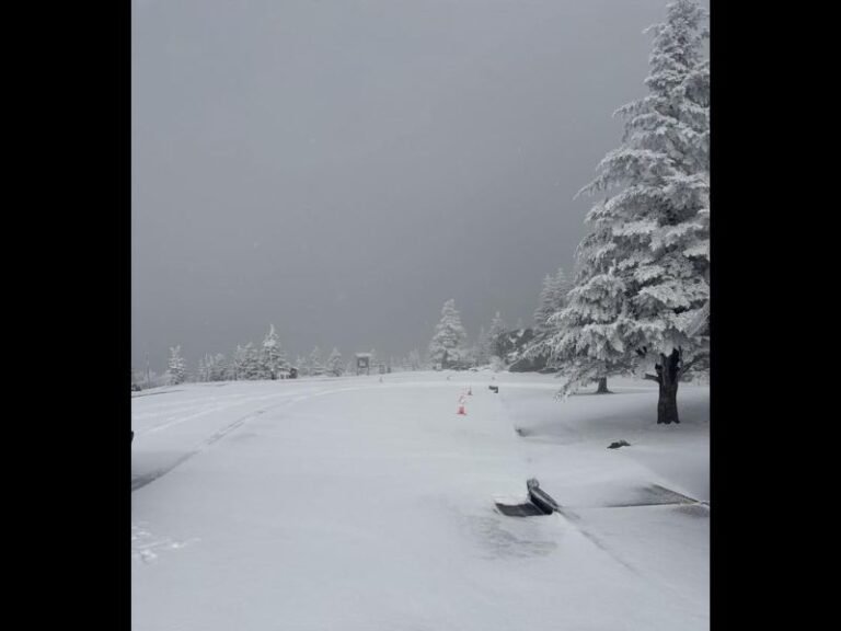 Great Smoky Mountains Roads Closed After Heavy Snow and Ice Blanket Higher Elevations
