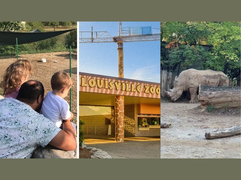 Kentucky Man’s Viral Zoo Visit Questions Safety After Noticing “Tiny Fence” Around Louisville Zoo Rhino Exhibit