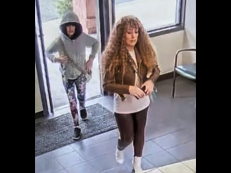 Mother of Missing 9-Year-Old California Girl Arrested on Unrelated Felony Charge, Officials Say