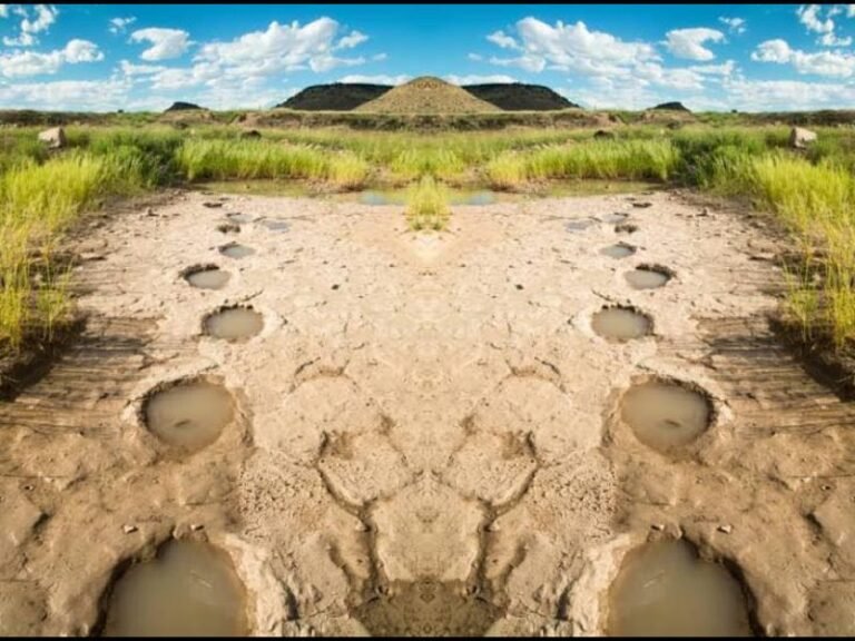 Oklahoma Landowner Closes Famous Dinosaur Track Site Near Black Mesa State Park to Protect Prehistoric Footprints