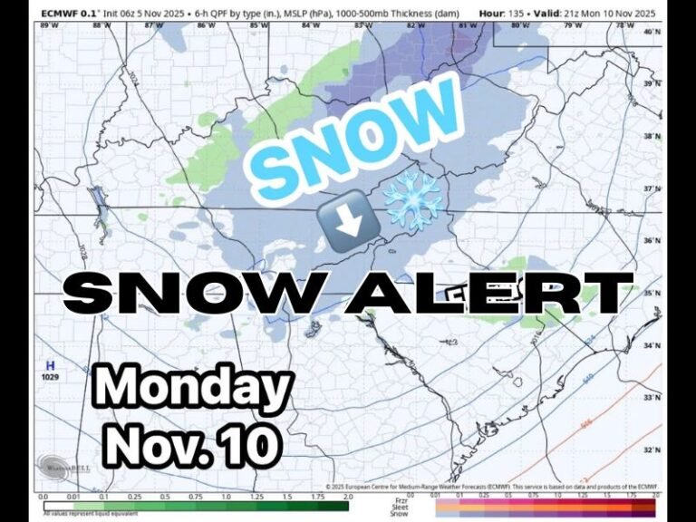 Snow Alert