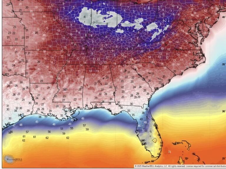 Arctic Blast Freezes Alabama, Georgia, and Florida as Temperatures Plunge Into the Teens and 20s