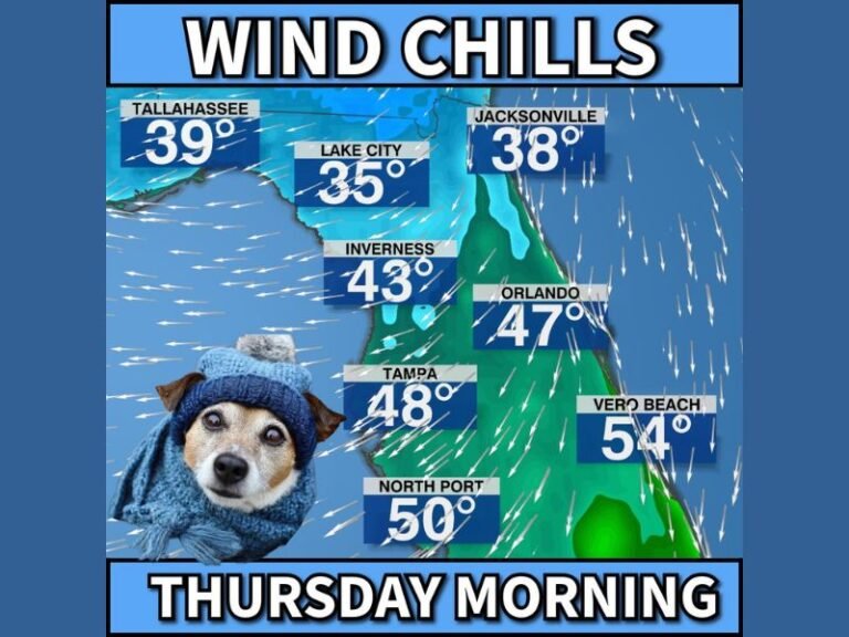 Cold Front to Bring Chilly Wind Chills Across Florida Thursday Morning, With Feels-Like Temperatures Dropping Into the 30s and 40s