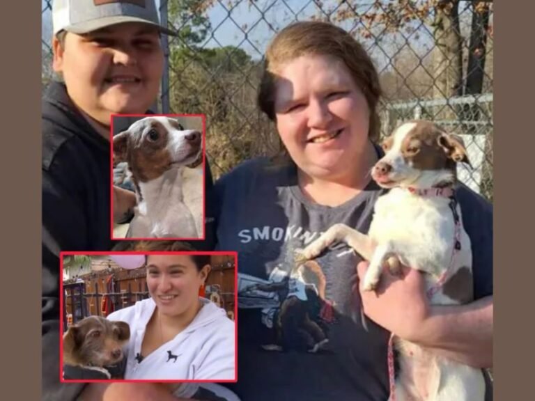 Dog Missing Since 2020 in California Found 5 Years Later in Michigan; Microchip Leads to Emotional Reunion With Family