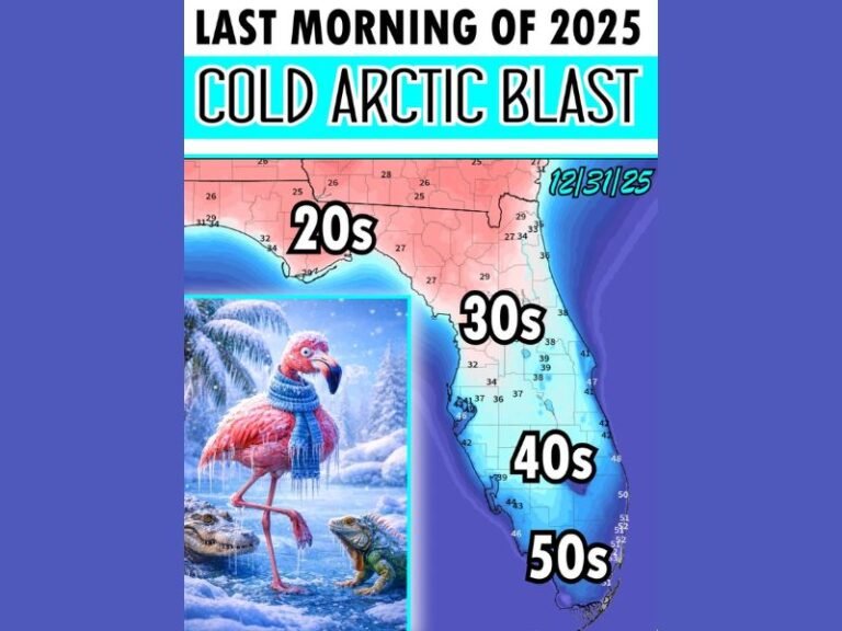 Florida Faces Harsh Arctic Blast As New Year’s Eve Temperatures Drop Into 20s And 30s
