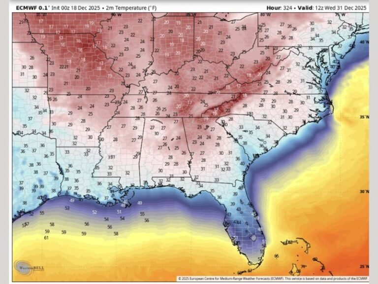 Southern States Brace for Bitter Cold as New Year’s Eve Forecast Predicts Frigid Temperatures Across Alabama, Georgia, and the Carolinas