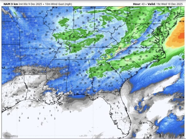 Strong Wednesday Wind Gusts Forecast to Impact Georgia, South Carolina, North Carolina, Alabama, and Tennessee, Raising Safety Concerns for Residents