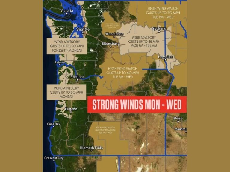 Washington and Oregon Under Wind Alerts as 70 MPH Gusts Threaten to Uproot Trees and Knock Out Power