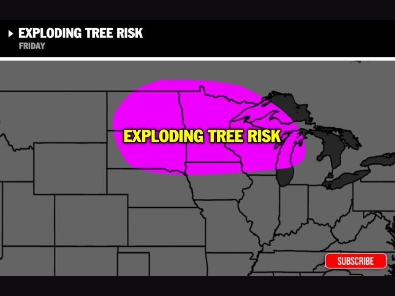 Extreme Arctic Cold Could Trigger “Exploding Tree” Risk Across North Dakota, South Dakota, Minnesota, Wisconsin, Iowa, and Michigan Late This Week