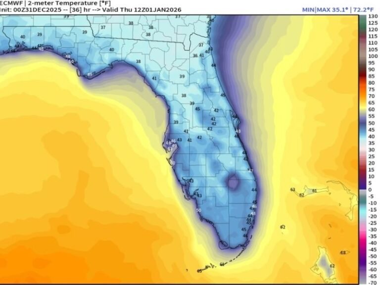 Florida Braces for New Year’s Morning Freeze as Radiational Cooling Sends Temperatures Into the 30s