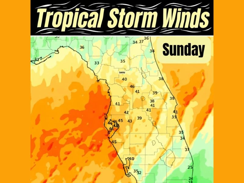Florida Braces for Tropical-Storm-Force Winds as Powerful Cold Front Triggers 50 MPH Gusts and Sharp Temperature Drop