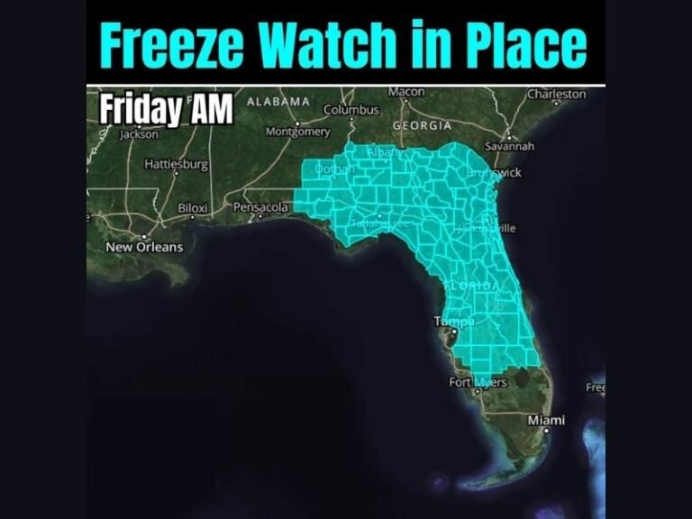 Florida Under Freeze Watch as Arctic Air Crosses State Line, Bringing Widespread Freezing Temperatures Friday Morning