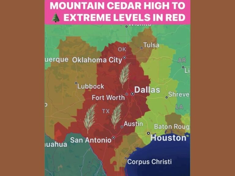 Texas Sees Nation’s Worst Mountain Cedar Outbreak as Allergy Levels Spike to Extreme Across Central and North Regions