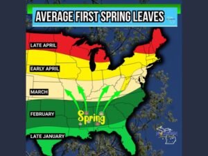 Average First Spring Leaves Map Shows Sharp North–South Divide as Southern States Turn Green in February While Upper Midwest Waits Until Late April
