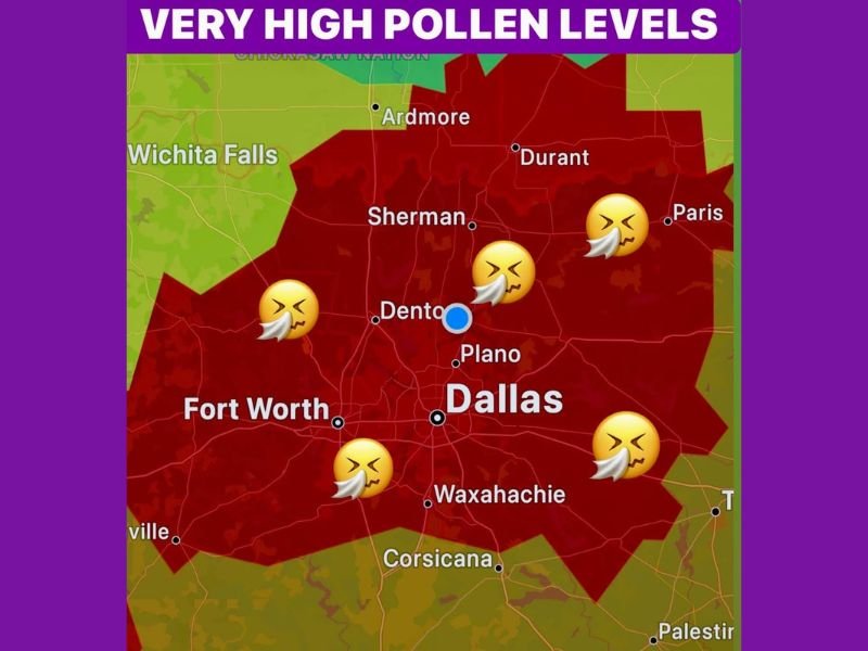 Dallas–Fort Worth, Plano, Denton and Sherman Placed Under Very High Pollen Alert as Warm Temperatures and South Winds Intensify Allergy Risk
