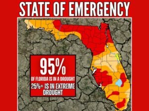 Florida Declares State of Emergency After Freeze and Drought Deliver Nearly $1 Billion Blow to Agriculture, With 95% of State Now in Drought