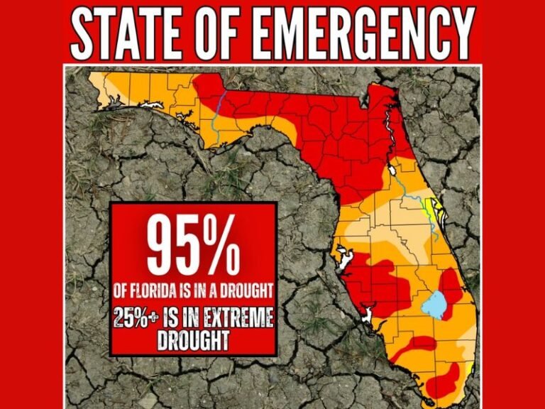 Florida Declares State of Emergency After Freeze and Drought Deliver Nearly $1 Billion Blow to Agriculture, With 95% of State Now in Drought