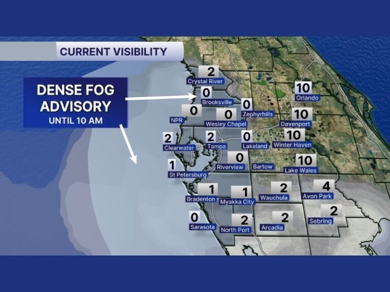 Florida Gulf Coast Under Dense Fog Advisory Until 10 AM as Visibility Drops to Near Zero in Tampa Bay and Surrounding Counties