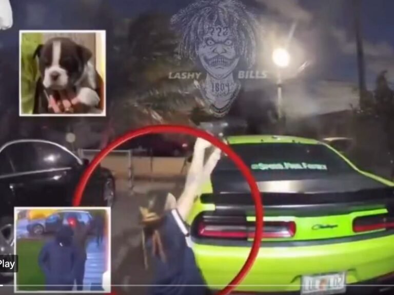 Florida Woman Selling $4,000 Rare Puppies Exchanges Gunfire With Alleged Robbers During Attempted Dog Theft