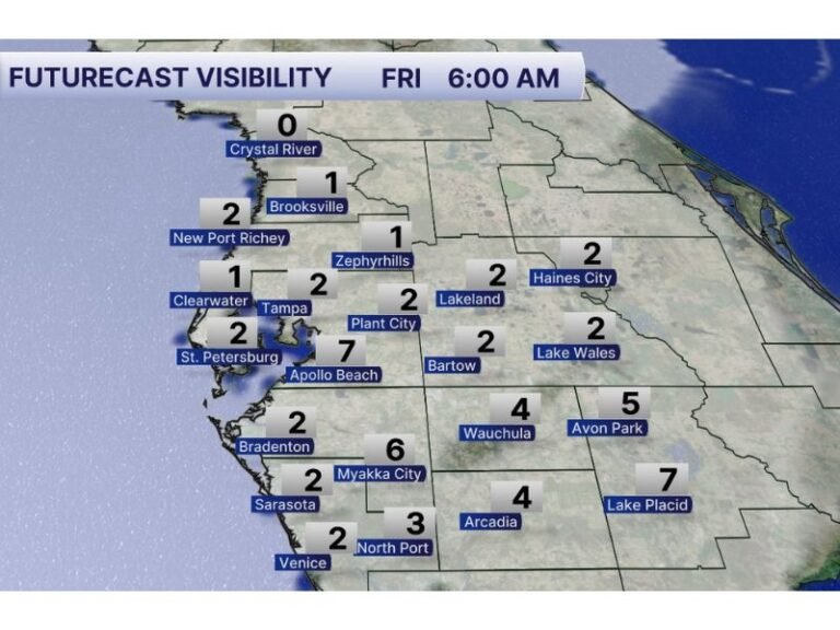Florida’s Weather Whiplash: Patchy Morning Fog Across Tampa Bay Before Big Warmup, Then Strong Cold Front and Wind Chills in the 20s Early Next Week