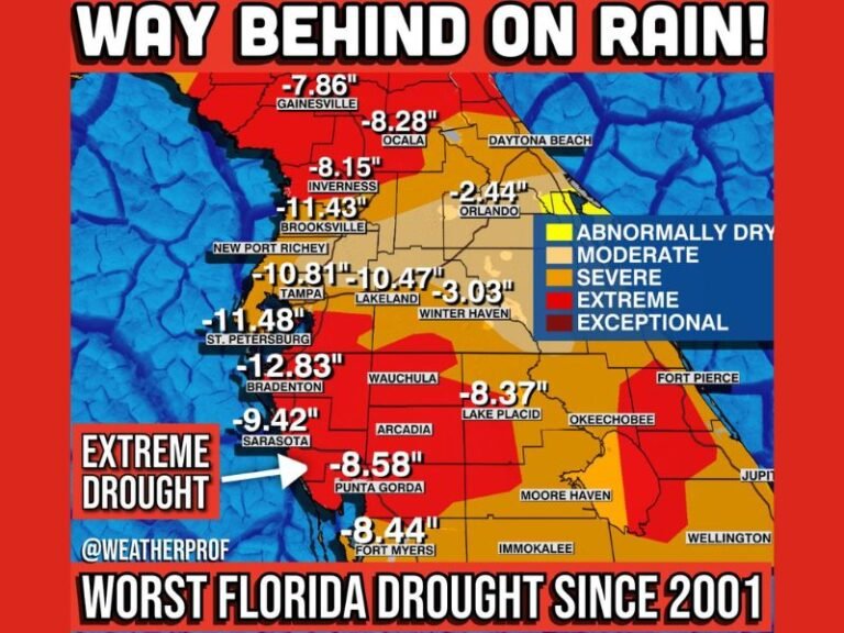 Florida’s Worst February Drought in 25 Years Deepens as Cities Run 8–13 Inches Behind Rainfall and Fire Season Looms