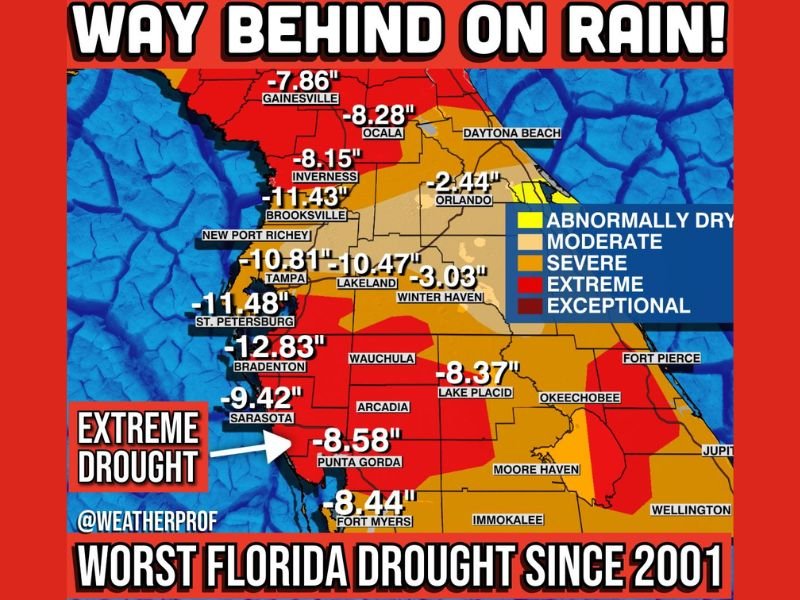 Florida’s Worst February Drought in 25 Years Deepens as Cities Run 8–13 Inches Behind Rainfall and Fire Season Looms