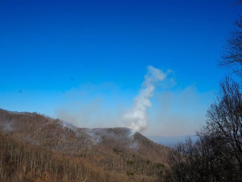 North Carolina Forest Fire Burns 80 Acres in Macon County Near Franklin as Crews Work to Increase Containment