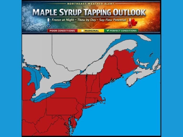 Pennsylvania and Northeast States Enter Prime Maple Syrup Tapping Window as Freeze–Thaw Pattern Sets Up This Week