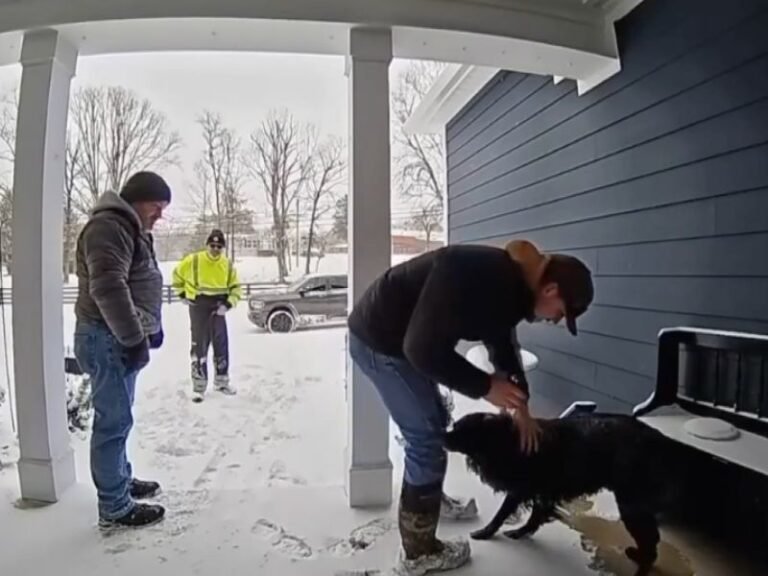 Tennessee DOT Worker Tracks Lost Dog Through Snow for a Mile and Reunites Him With Owner During Winter Storm