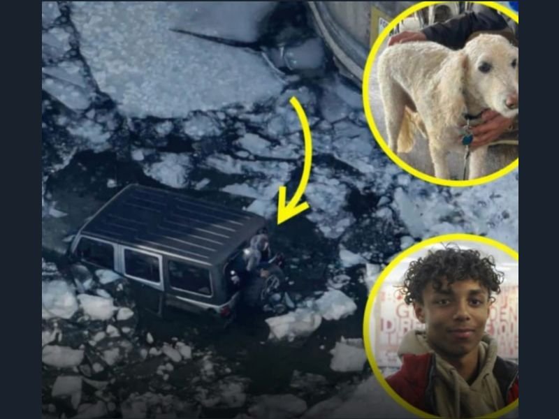 United States Teen Jumps Into Frozen Lake to Save 83-Year-Old Grandfather and Family Dog After Jeep Breaks Through Ice