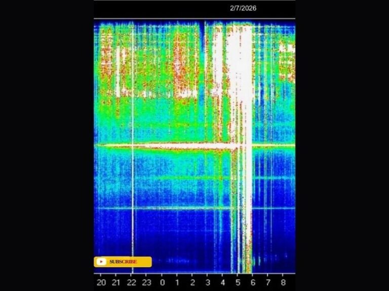 Unusual Schumann Resonance Chart “Whiteout” on Feb. 7 Sparks Questions, But Experts Urge Caution on Causes