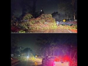 Alabama Storm Damage Leaves Roads Blocked by Downed Trees and Power Poles as Severe Weather Sweeps Through Concord Area