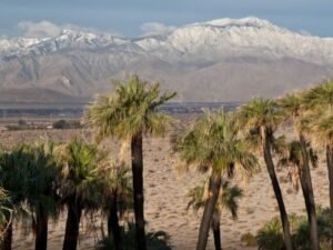 California Records 101°F in Late February at Ocotillo Wells and Near North Shore, Marking Hottest Winter Temperature Ever Observed in State History
