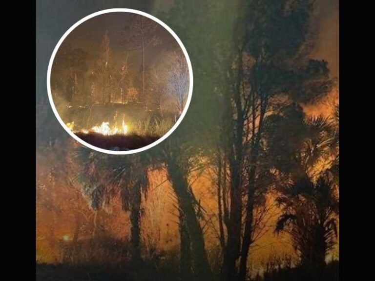 Florida’s Hernando Beach 150 Acre Brush Fire Forces Evacuations as Strong Winds Drive Flames and Containment Stalls at 20 Percent