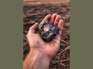 Medina and Cuyahoga County Ohio Meteor Discovery May Link Rare Fragment to Asteroid Pallas After Multi-State Fireball Boom