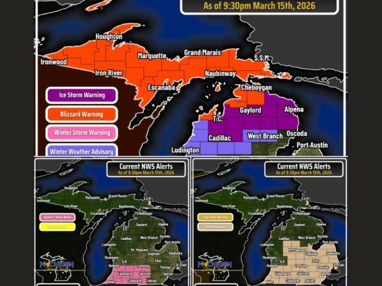 Michigan Weather Emergency: Blizzard, Ice Storm, Severe Thunderstorms and 50 MPH Winds Impact 80 of 83 Counties Overnight