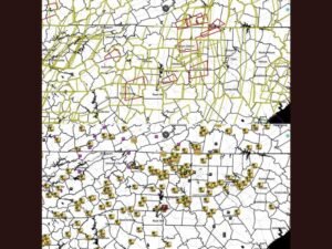 North Carolina, South Carolina, Virginia and Tennessee Hit by Severe Storms Leaving 32,000 Without Power After Tornado Warnings and Damaging Winds