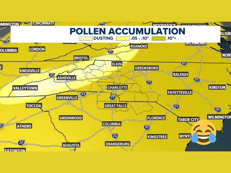 North Carolina and South Carolina Face Heavy Pollen Surge as Charlotte, Raleigh, Columbia and Greenville See Widespread Accumulation This Week