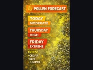 Pollen Levels Expected to Surge Across Parts of the U.S. This Week as Cedar, Elm, and Juniper Trees Trigger Moderate to Extreme Allergy Conditions