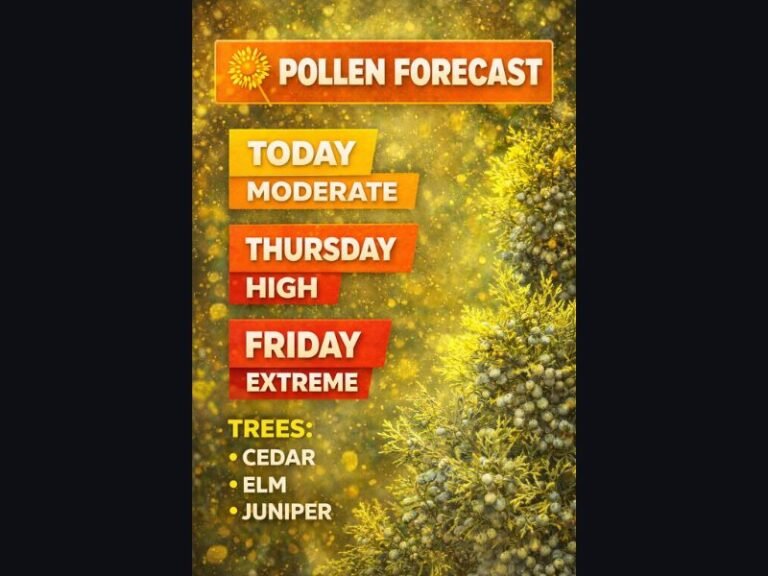 Pollen Levels Expected to Surge Across Parts of the U.S. This Week as Cedar, Elm, and Juniper Trees Trigger Moderate to Extreme Allergy Conditions