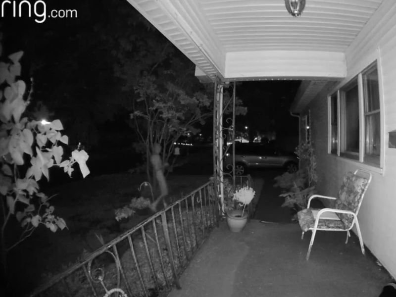 Ring Camera Footage Shows Tall Naked Man Walking Through Neighborhood Yard in Middle of the Night, Leaving Residents Confused and Alarmed