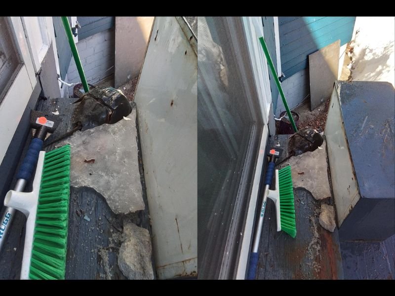 Vermont Resident Finds Frozen Horseshoe Crab on Porch Under Ice and Snow, Leaving Locals Wondering How Ocean Creature Got There